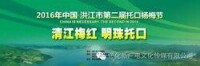 2016洪江市 托口第二屆楊梅節