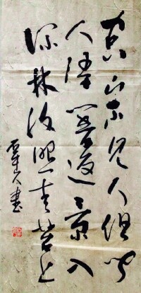 蘇康書法