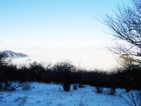 白鶴林雪景