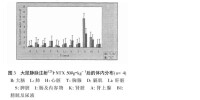 大鼠靜脈注射毒素后在器官內分佈示意圖