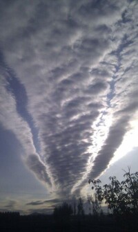 地震雲