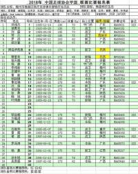 廣東華南虎足球俱樂部2018賽季球隊陣容