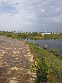 千河鎮風景