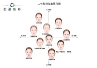 各季型人人體特徵象限圖