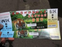 青島動物園各時期入門券
