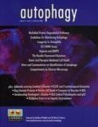 AUTOPHAGY