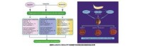 中國熱帶農業科學院熱帶生物技術研究所