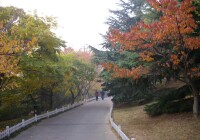 青島動物園園區風光