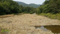 東坪村[福建福安市溪柄鎮下轄村]