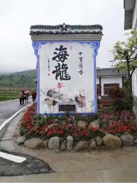 海龍村[貴州畢節市大方縣八堡鄉海龍村]