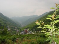 里山鎮安頂山村