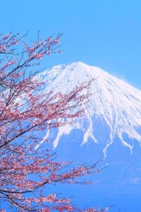 富士山