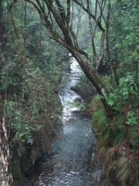 溪源峽谷