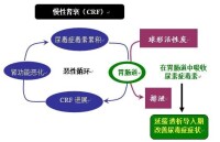 球形活性炭的作用機制