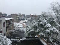 前張村雪景