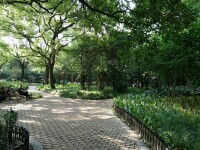 楊浦公園