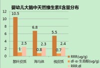 rrr[腦部營養元素RRR]