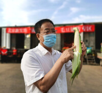 北京新發地董事長張玉璽直播帶貨，推銷湖北鮮食玉米