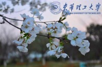 東華理工大學-櫻花園