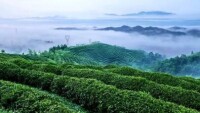 代河村[四川省雅安市雨城區宴場鎮代河村]