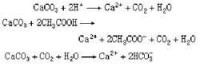 碳酸鹽在酸中的反應