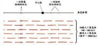 人類基因組圖譜