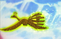通體金色的鳳王在寶可夢動畫第一集首次登場