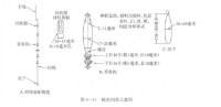 魷魚釣示意圖