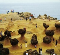 野柳奇特的海蝕地貌