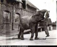 莫斯科動物園