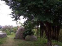 董奉山國家森林公園