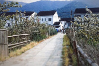 樹山村