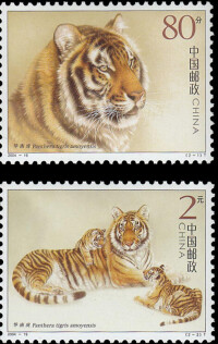 華南虎郵票