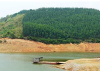 水源涵養林