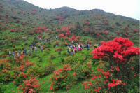 天露山