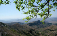 桑營鎮風景