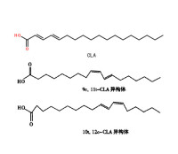 共軛亞油酸