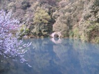 九溪煙樹自然風景圖片