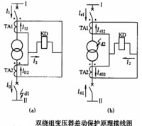 主保護