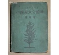 中國樹木分類學