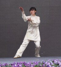 鄒家拳