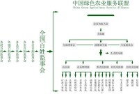 聯盟組織機構圖