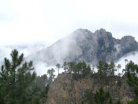 高山雲海