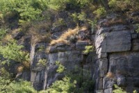 圪壋坡遺址