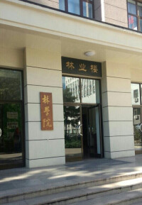 北京林業大學林學院