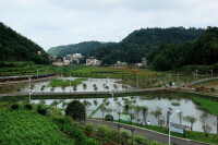 小屯鎮