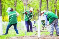 馬庄村[北京市延慶縣張山營鎮下轄村]