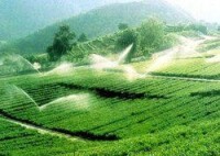 灌溉農業