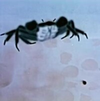《小蝌蚪找媽媽》[1961年上海美術電影製片廠攝製水墨動畫片]