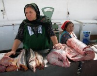土庫曼巴希的魚產品